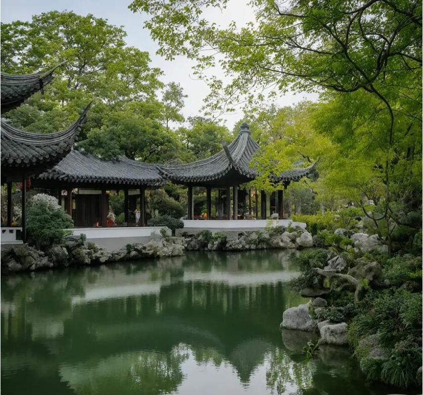 信阳师河水瑶餐饮有限公司